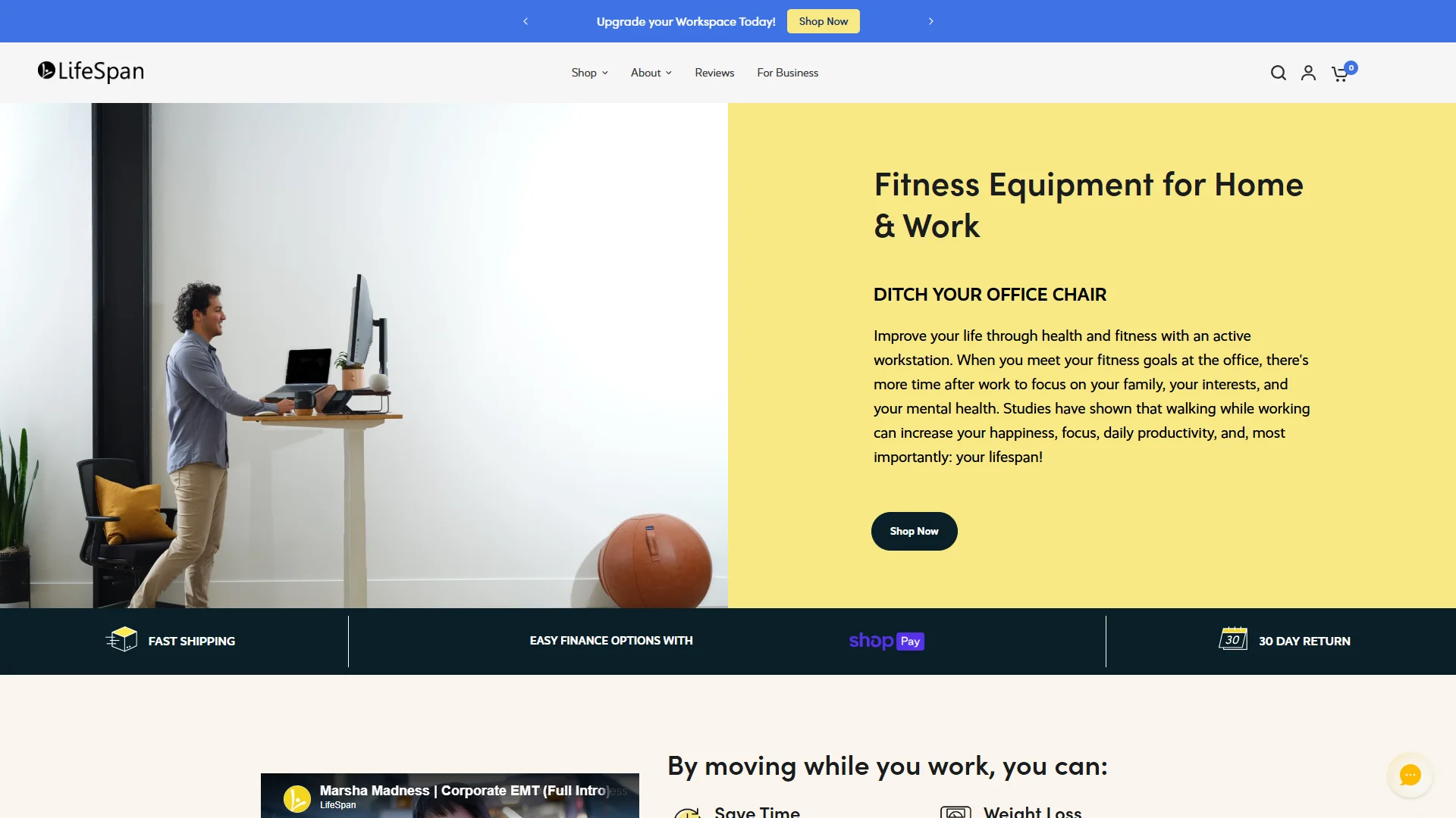 LifeSpan Fitness